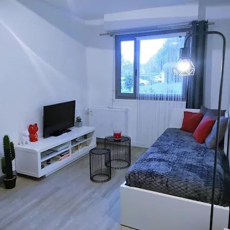 Apartman & Parking Prive Proximite Hypercentre